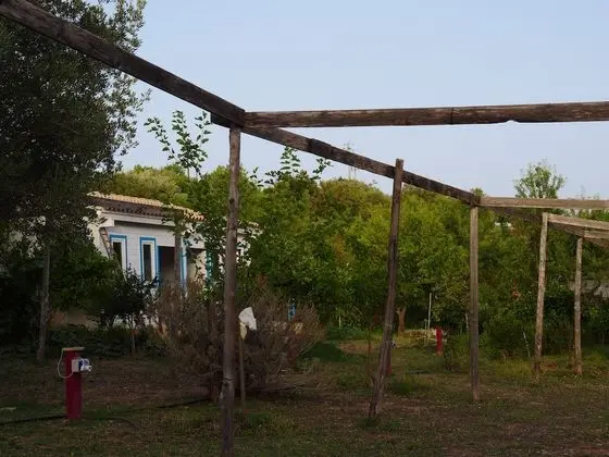 Çadır, Ortak Banyo