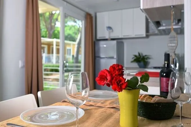 Bungalov (Trendy)