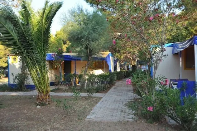 Karavan