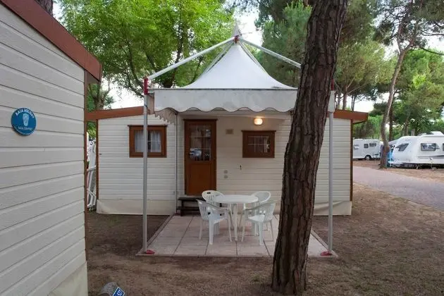 Comfort Karavan