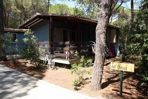 Bungalov, 2 Yatak Odası, Veranda
