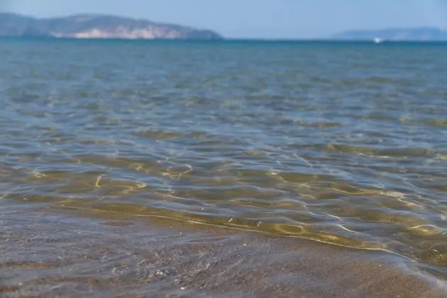 Bungalov, 1 Yatak Odası