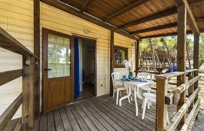 Basic Tek Büyük Yataklı Oda