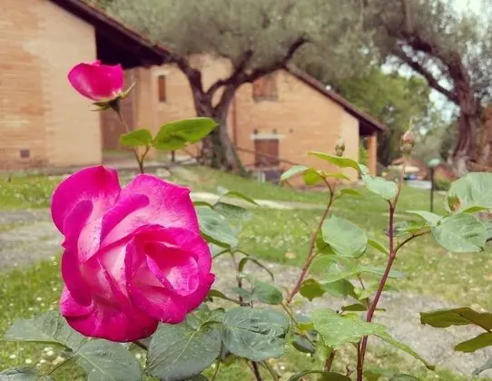 Dağ Evi, 1 Yatak Odası, Havuz Kenarı