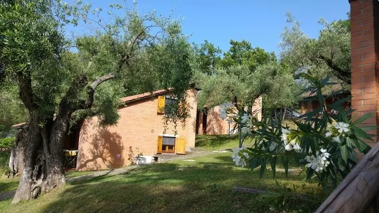 Dağ Evi, 1 Yatak Odası, Havuz Kenarı