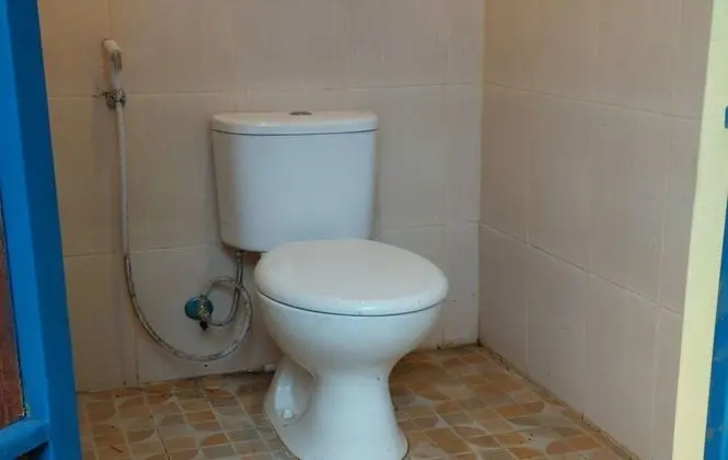 Deluxe Çadır