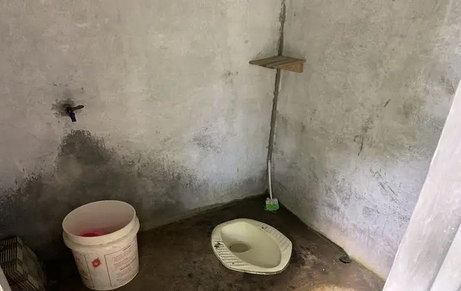 Standard Çadır