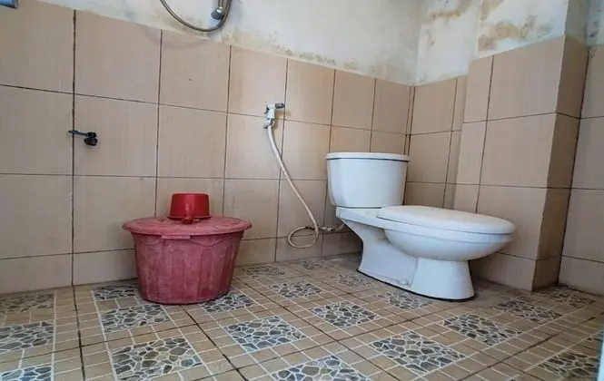 Standard Çadır