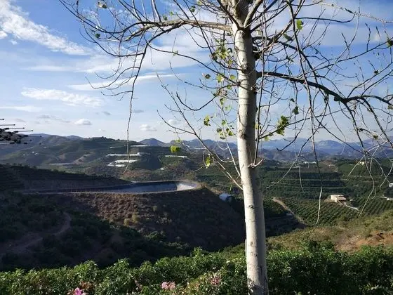 Superior Bungalov, 2 Yatak Odası, Teras, Dağ Manzaralı (Madera)