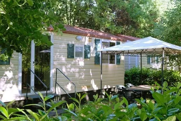 Economy Karavan