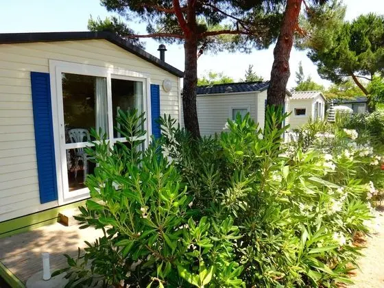 Standard Karavan, 1 Yatak Odası