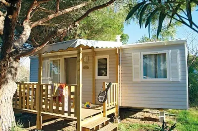 Classic Karavan (Julius)