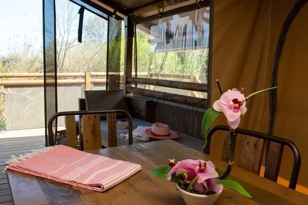Comfort Karavan (Kenya Plus)