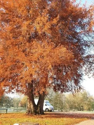Karavan, 2 Yatak Odası