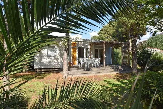 Premium Bungalov, 3 Yatak Odası