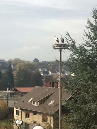 Dağ Evi, 2 Yatak Odası