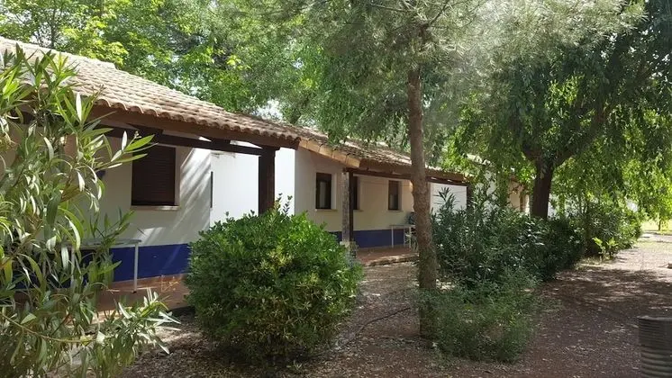 Basic Bungalov, 1 Yatak Odası