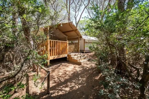 Çadır (Mini Lodge)