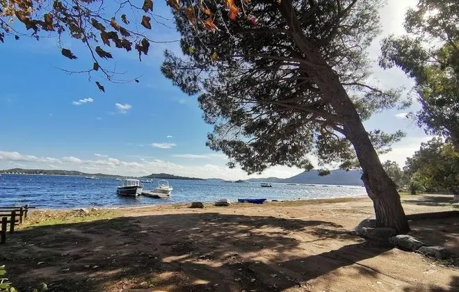 Dağ Evi, Banyolu/Duşlu (ombragés)