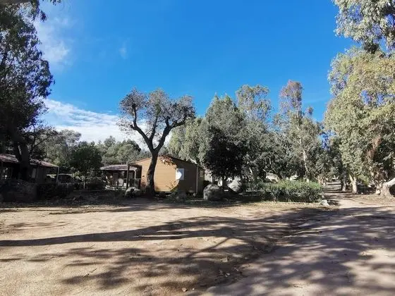 Dağ Evi, Banyolu/Duşlu (ombragés)
