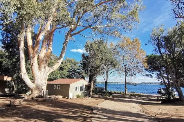Dağ Evi, Banyolu/Duşlu (ombragés)