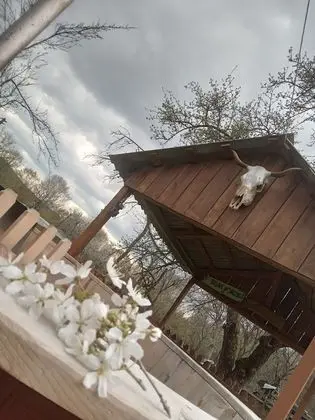 Oda, 1 Yatak Odası, Veranda