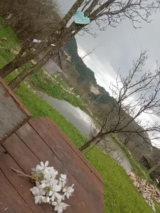 Oda, 1 Yatak Odası, Veranda