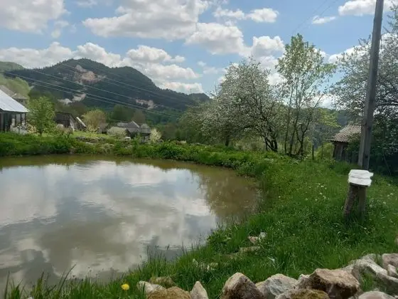 Oda, 1 Yatak Odası, Veranda