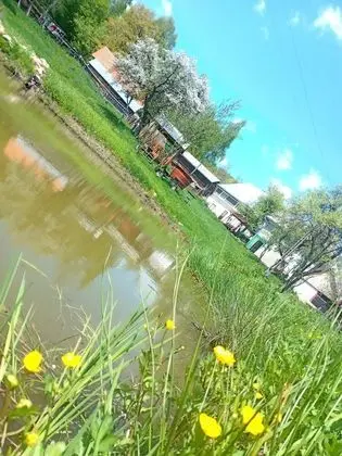 Oda, 1 Yatak Odası, Veranda