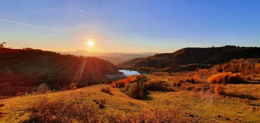 Oda, 1 Yatak Odası, Veranda