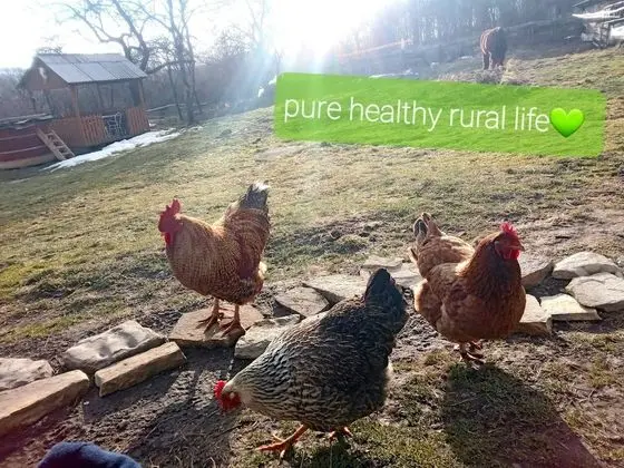 Oda, 1 Yatak Odası, Veranda