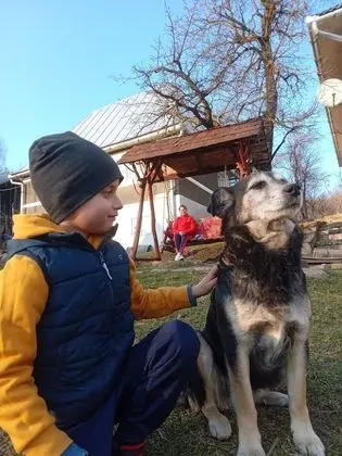 Oda, 1 Yatak Odası, Veranda