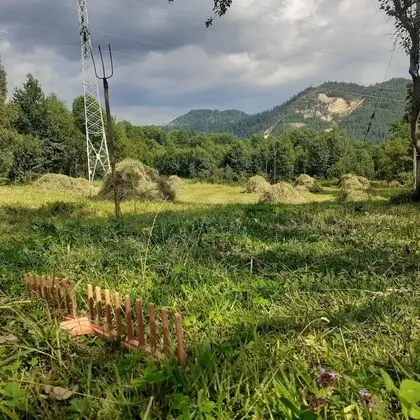 Oda, 1 Yatak Odası, Veranda