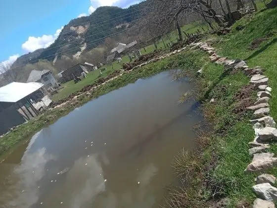 Oda, 1 Yatak Odası, Veranda