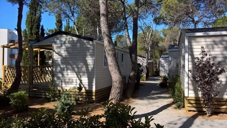 Karavan (4 adults + 2 children - A/C)