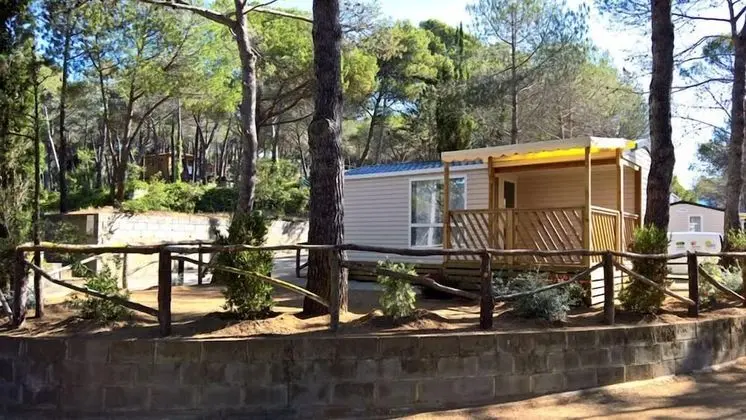 Karavan (4 adults + 2 children - A/C)