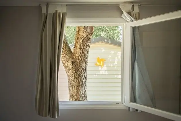 Karavan (Evasion Ocean)