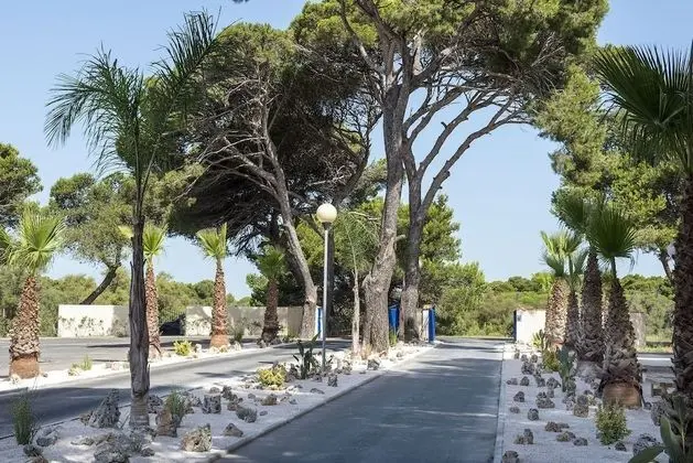 Karavan, 3 Yatak Odası (TV, Clim, 2561725)