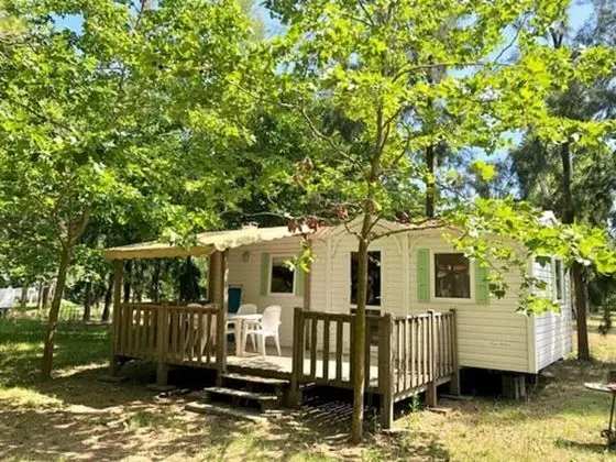 Karavan
