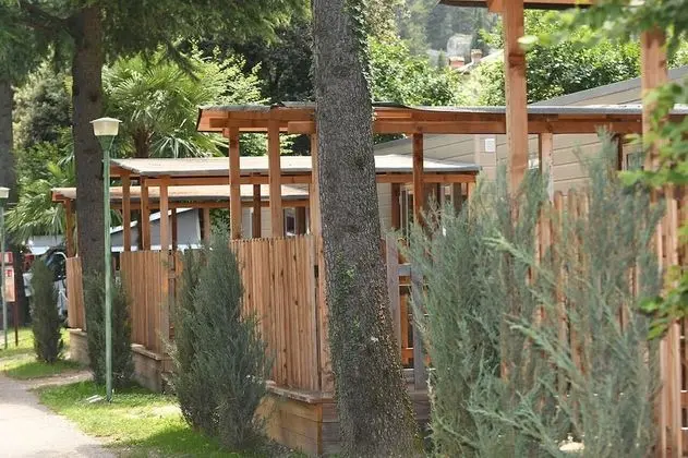 Economy Karavan (Gamma)