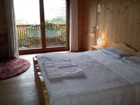 Deluxe Büyük Yataklı Tek Kişilik Oda, 1 Yatak Odası, Özel Banyo, Bahçeli