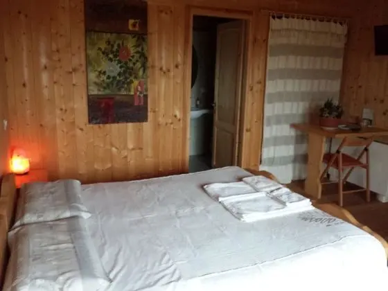 Deluxe Büyük Yataklı Tek Kişilik Oda, 1 Yatak Odası, Özel Banyo, Bahçeli