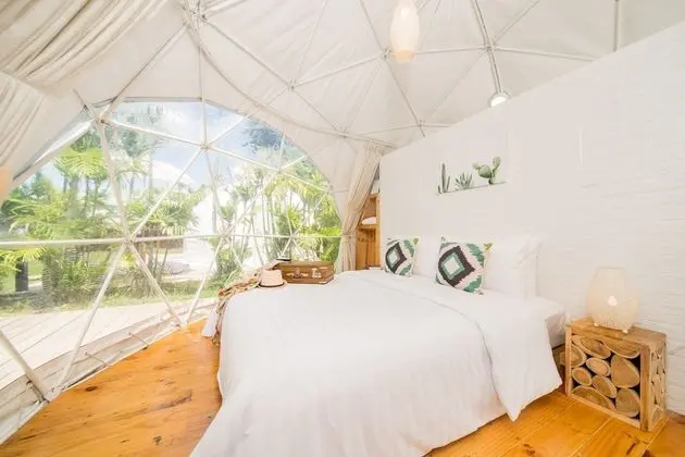 Glamping Dome