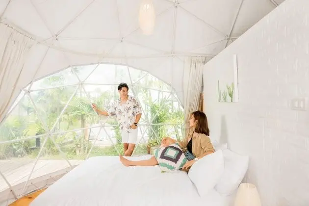 Glamping Dome