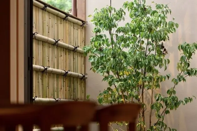 Design Daire (CAMPTONKIYOMIZU2, Wooden bathtab)