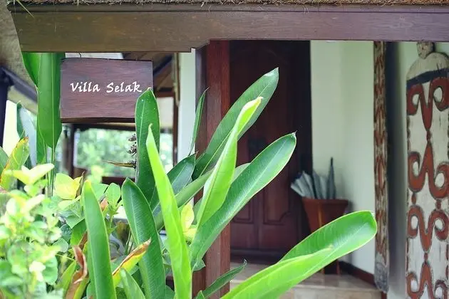 Villa Selak