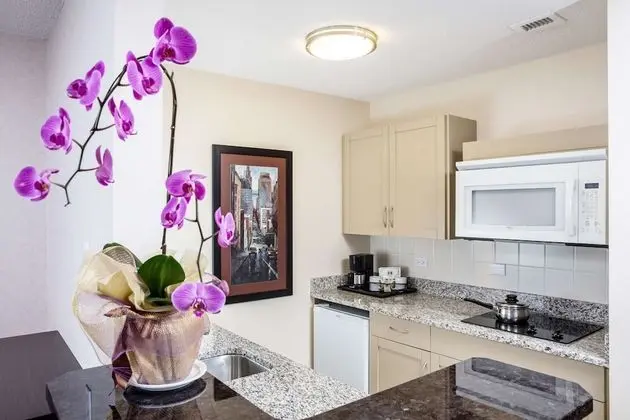 Stüdyo Süit, 1 Büyük (Queen) Boy Yatak ve Çekyat, Küçük Mutfak (Premium Studio Full Kitchen Queen)
