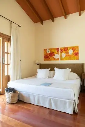 Deluxe Tek Büyük Yataklı Oda, Balkon, Bahçe Manzaralı