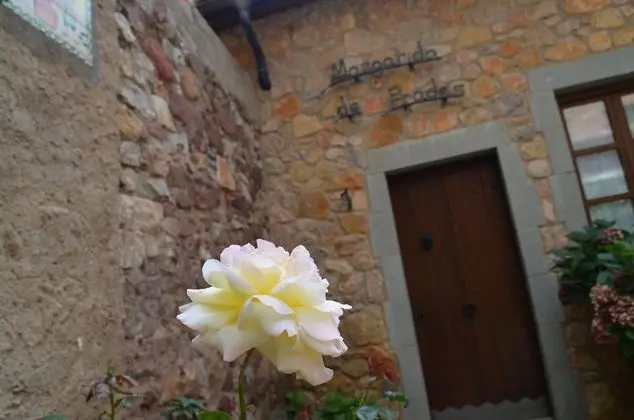 Apart Daire, 2 Yatak Odası (Margarida de Prades)