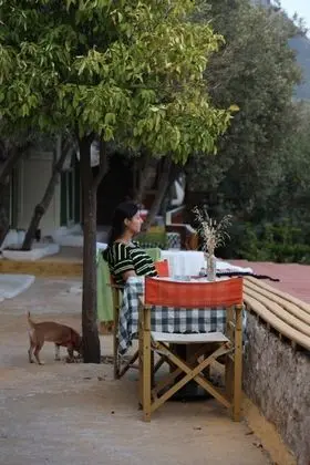 Standart 2 yataklı Bungalov - Ortak Banyo ve Fanlı